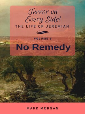 cover image of No Remedy